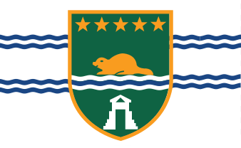 Datei:Surrey flag.png