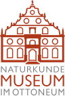 Datei:Logo Naturkundemuseum im Ottoneum.svg