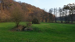 Remains of Ravenstein Castle