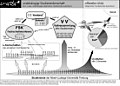 Vorschaubild der Version vom 12:55, 25. Aug. 2005