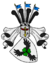 Borstell-Wappen.png