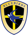 Logo des Cardiff City FC von 2003 bis 2008