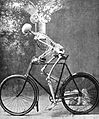 Skelett auf dem Fahrrad.jpg