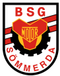 Logo der BSG Motor Sömmerda