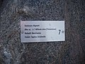 Migmatit im geologischen Lehrpfad