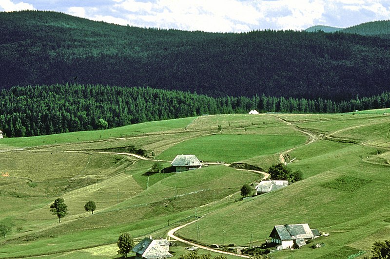 Datei:Wiesenlandschaft Schwarzwald 2.jpg