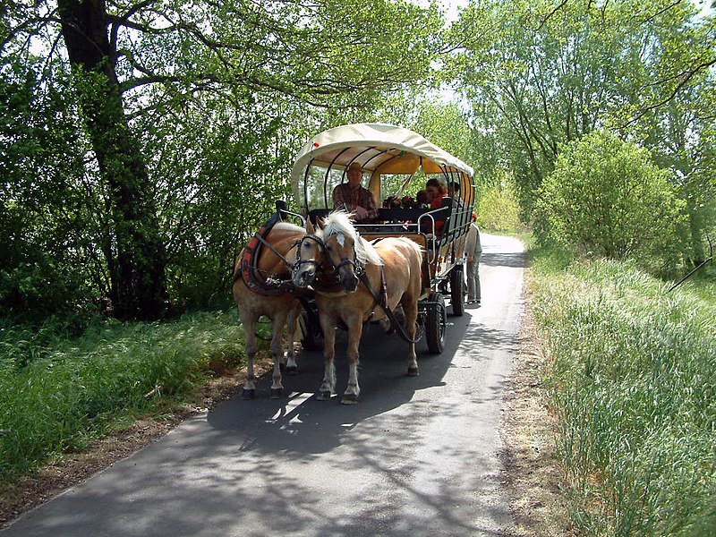 Datei:Spreewaldkremser.jpg