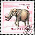 Datei:Briefmarke Platybelodon.jpg