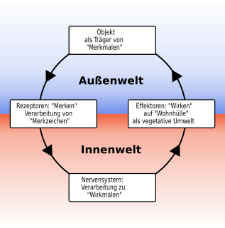 Der Funktionskreis ist ein kyb