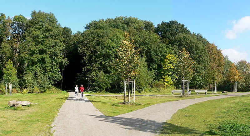 Datei:Seelhorst Wegkreuz.jpg