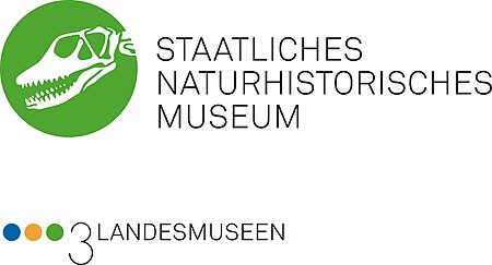 Naturhistorisches Museum Braunschweig Logo Dachmarke