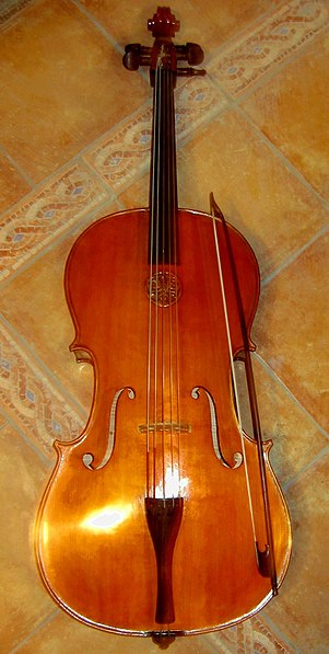 Datei:Violoncello piccolo.jpg