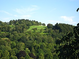 Côté nord du Lindenberg ("Katzenplätze"), vu du château supérieur