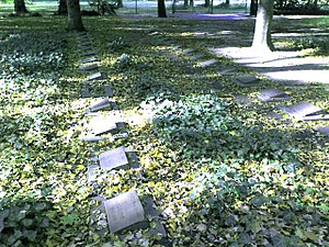 Friedhof Pankow Iii: Lage, Geschichte, Umliegende landeseigene Pankower Friedhöfe