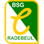 Vorschaubild für BSG Chemie Radebeul