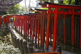 Torii des Otome-Inari-Schreins