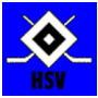 Vorschaubild für Hamburger SV (Eishockey)