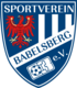 SV Babelsberg 03 (1996–2003)