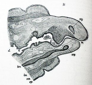 Drawing with markings of the individual areas