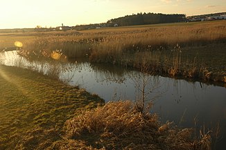 Wieseth-Ufer near Bechhofen