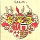 Coat of arms of Salm.jpg