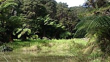 Ein von Hundertwasser angelegter Teich im Kaurinui-Tal in der Bays of Islands in Neuseeland