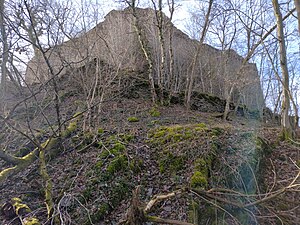 Liste Von Burgen, Festungen Und Schlössern In Rheinland-Pfalz: Liste, Gebietsübergreifend, Literatur