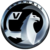 Vauxhall Markenlogo.PNG