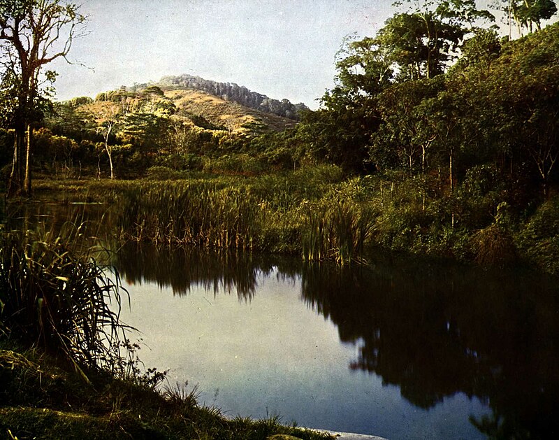 Die Deutsch-Ostafrikanische Gesellschaft (engl. German East Africa Company)  800px-Stauweiher_auf_der_Pflanzung_Derema_der_Deutsch-_Ostafrikanischen_Gesellschaft