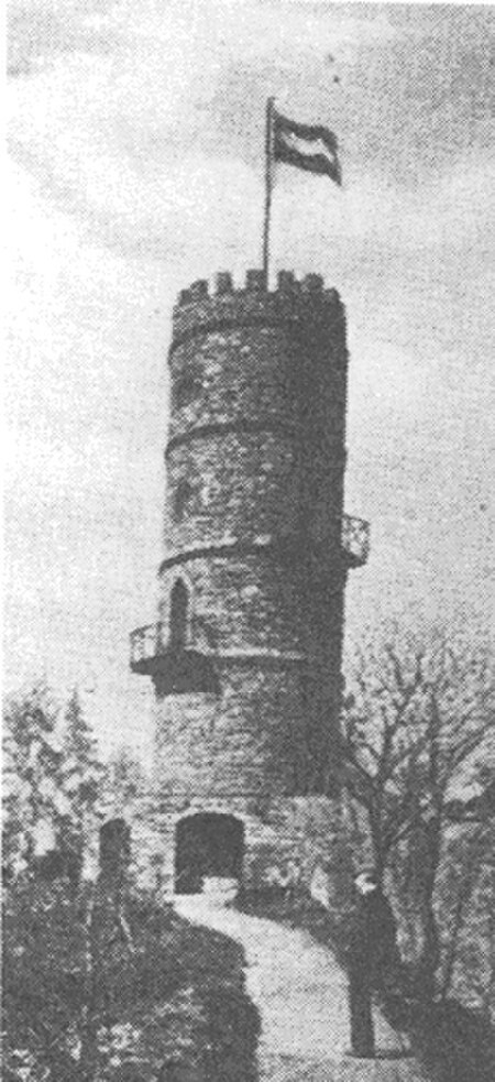 Radebeul Maeuseturm1900