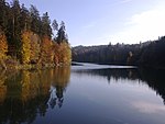 Hochwasserrückhaltebecken Herrenbach