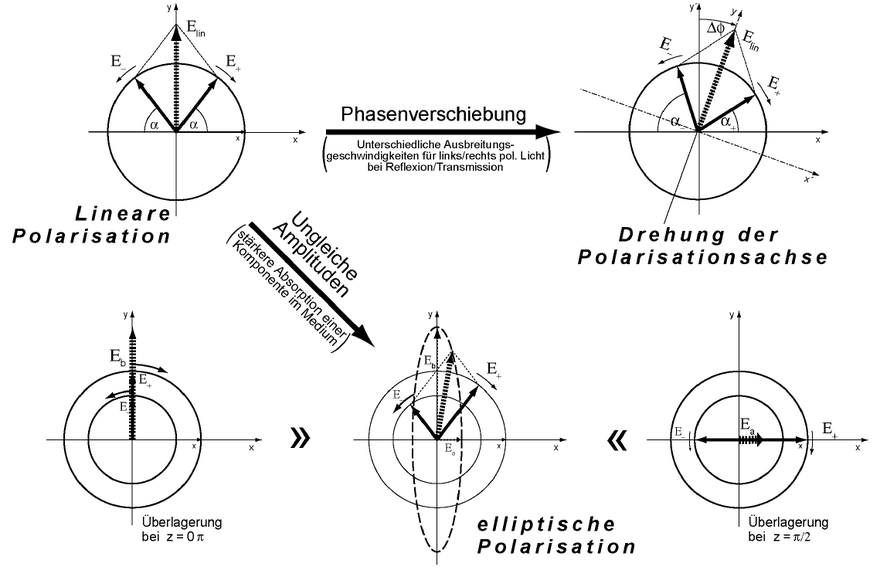 Kerrwinkelogenèse.PNG