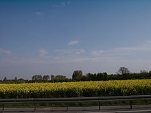 Dortmund-Nette, ländlich