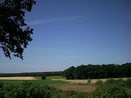 Wessenstedt Felder & Wälder