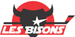 Bisons de Neuilly-sur-Marne Hockey Club Neuilly-sur-Marne