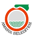 Escudo de armas de Amasya