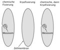 Vorschaubild der Version vom 09:44, 19. Mär. 2008