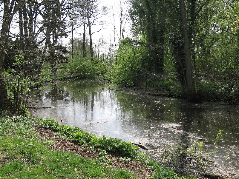 Datei:Burggraben der Horneburg.JPG