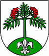 Jarabina coat of arms