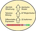 Vorschaubild der Version vom 21:06, 6. Mär. 2011