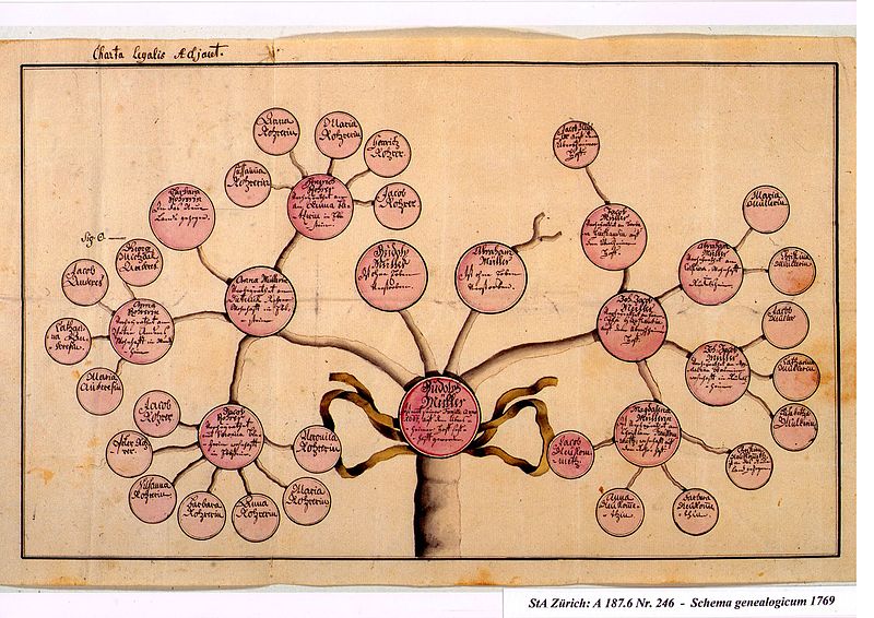 Datei:Schema genealogicum StA Zürich A 187.6 Nr.246.jpg