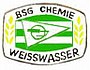 Lausitzer Füchse: Geschichte, Zuschauer, Mannschaft