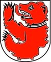 Wappen von Mannenbach-Salenstein