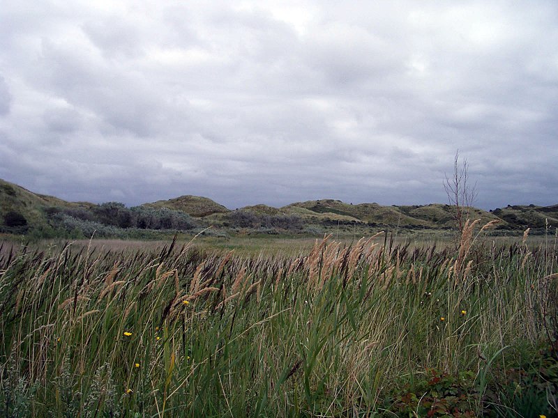 Datei:Egmond Duenen.jpg