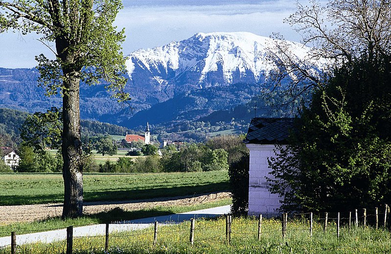 Datei:Oetscher.jpg