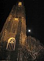 Weert, die Sankt Martinuskirche, nachts