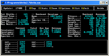 avida Simulation nach ca. 17.500 Generationen