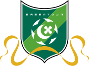 Чжэцзян greentown fc.svg