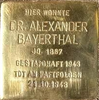 Dr. Bayerthal Stolperstein WI-Schierstein.png