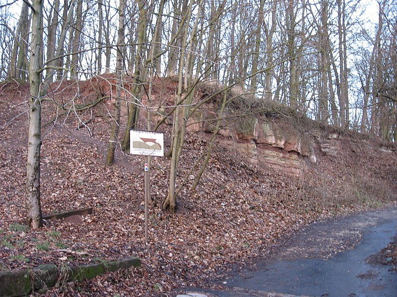 Datei:Banderbacher Verwerfung.jpg